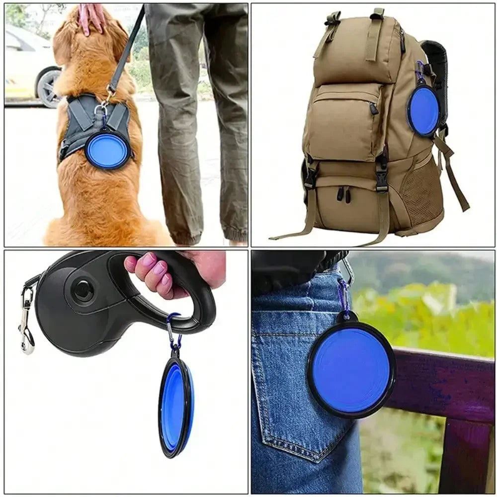 Portable Folding Pet Dog Bowl With Carabiner For Travel