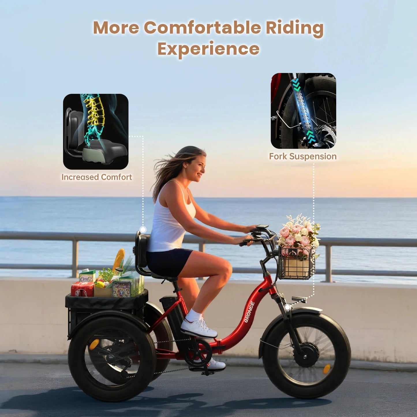 QRONGE Electric Bike Folding Tricycle 960W Peak 36V Battery