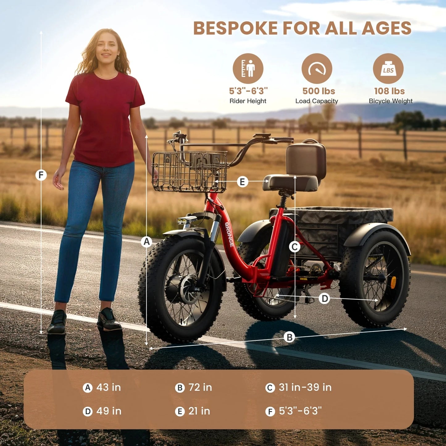 QRONGE Electric Bike Folding Tricycle 960W Peak 36V Battery