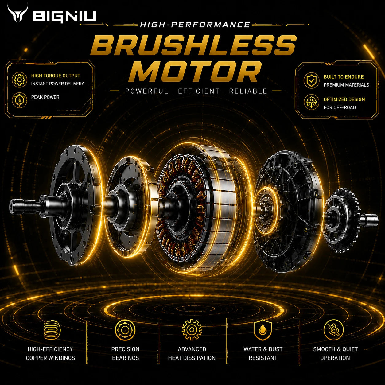 BIGNIU BG-S Pro 3000W Fat Tire Electric Bike with Suspension