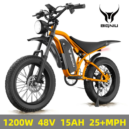 BIGNIU BG-S Electric Bike With Full Suspension And Long Range