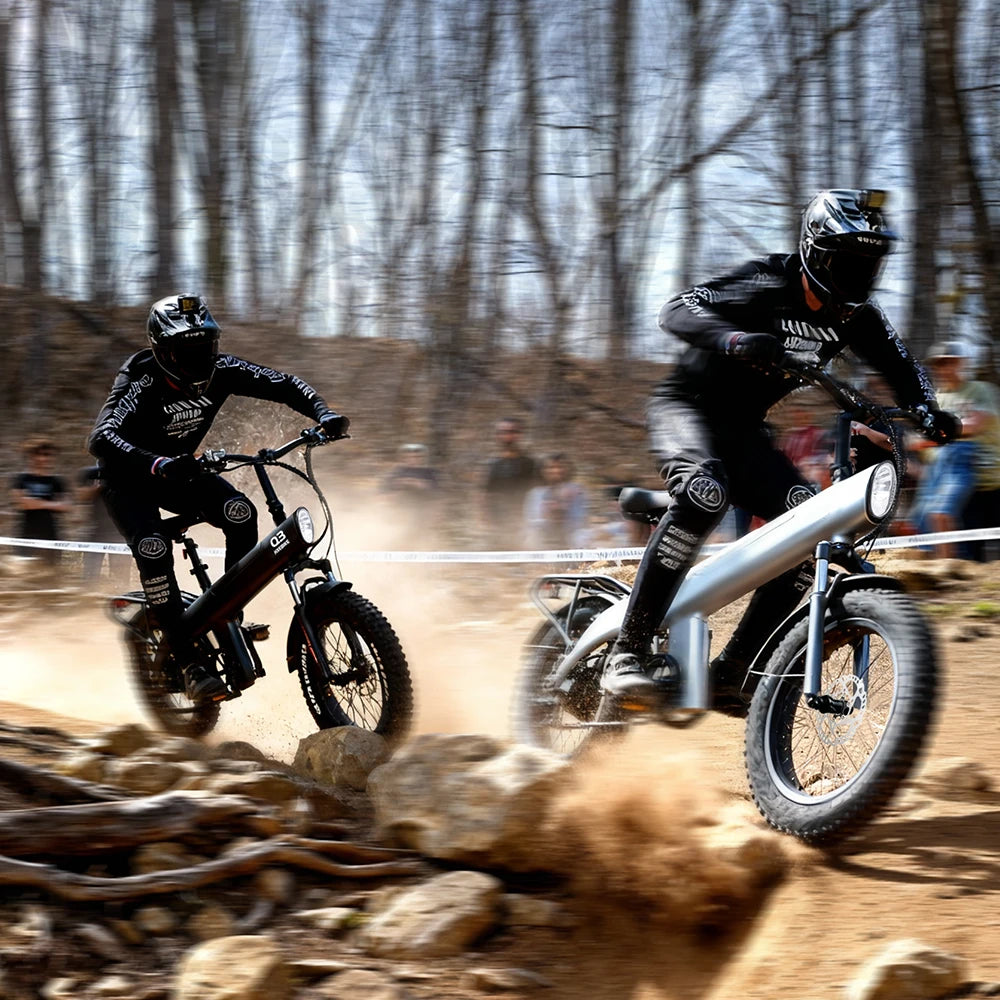 HX Q3 2000W Fat Tire Electric Bike