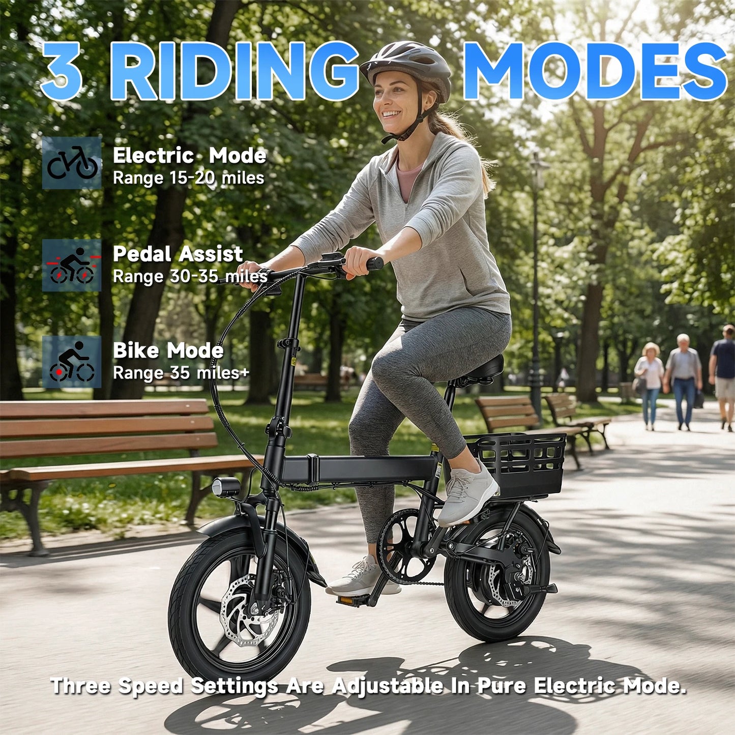 Folding Electric Bike With 500W Peak Motor And 432Wh Battery