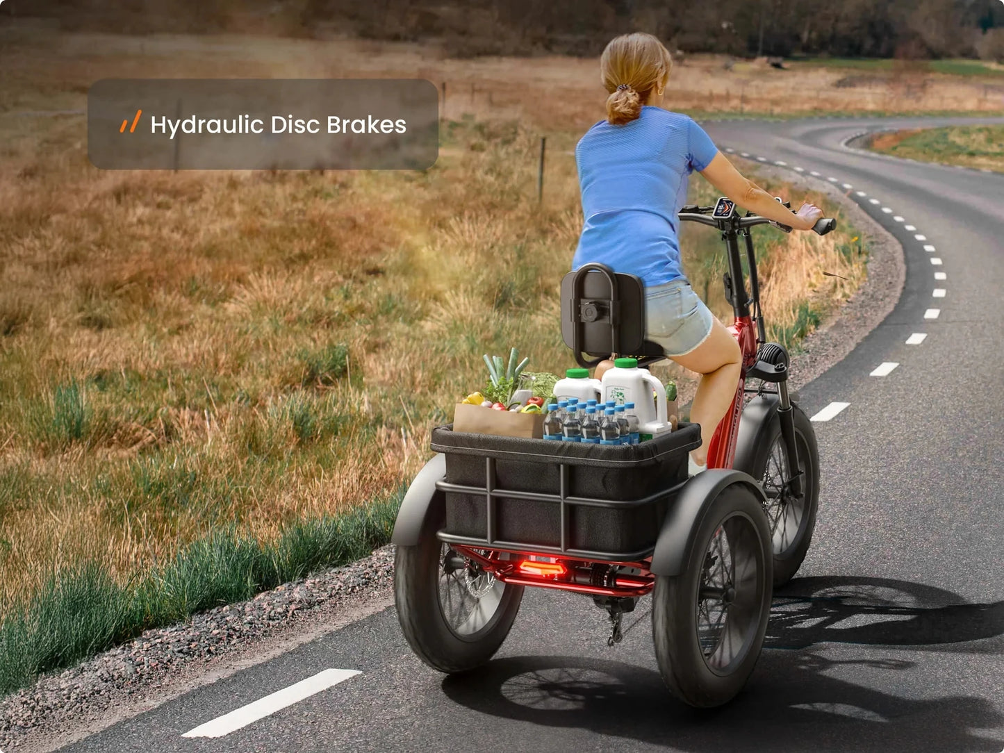 PUCKIPUPPY Husky Electric Trike 960W Peak Motor 60 Mile Range