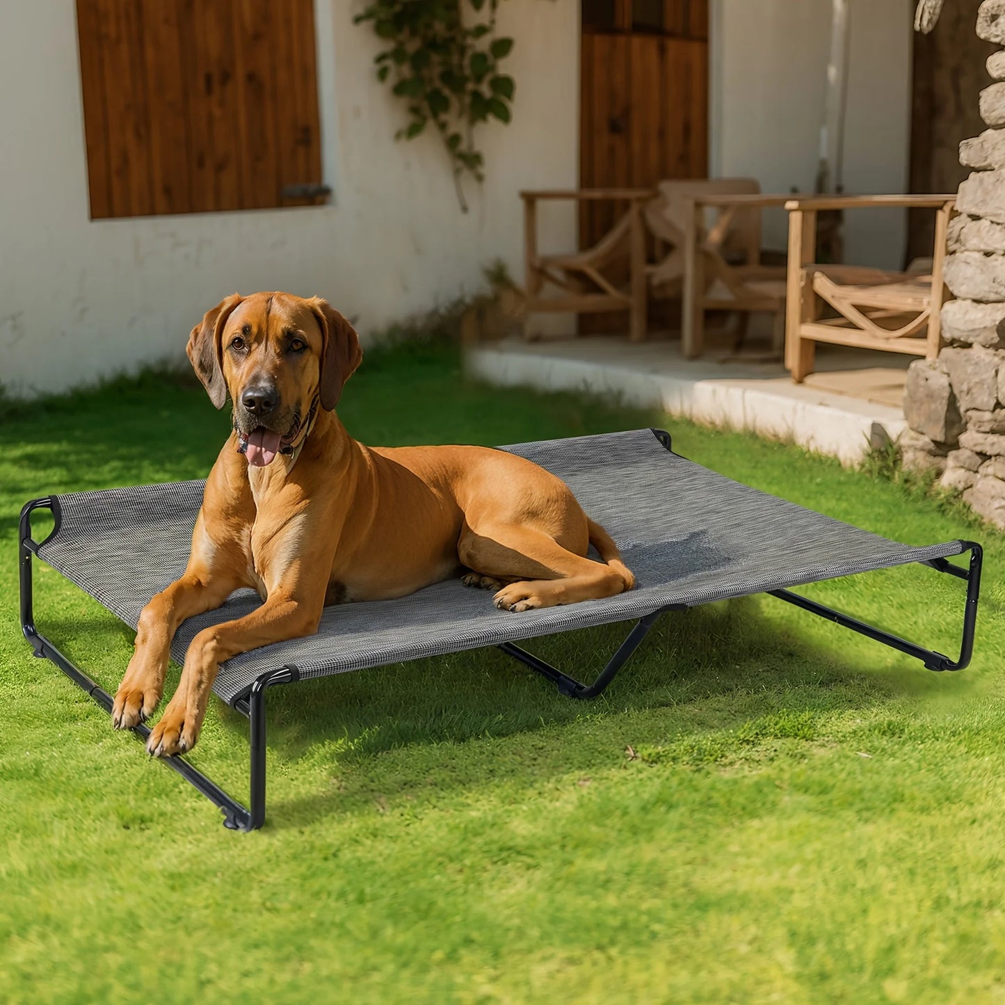 PawCozyBeds M-XXL Original Cool Elevated Dog Bed, Outdoor Elevated Bed for Large Dogs, Portable Standing Pet Bed with Washable B