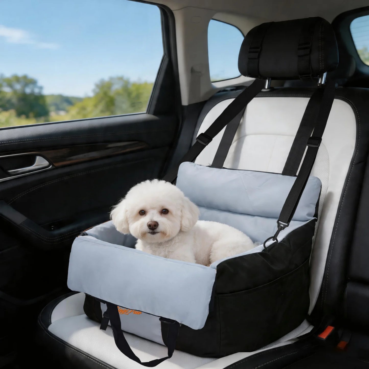 BINGOPAW Dog Car Seat For Small Dogs Washable Booster Carrier