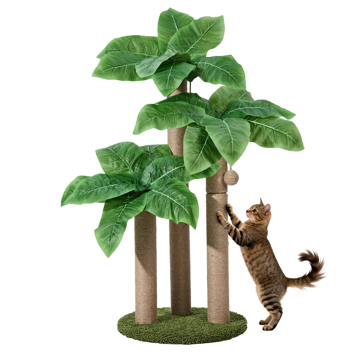 Canna Leaf Cat Scratching Post With Sisal Poles Dangling Toy