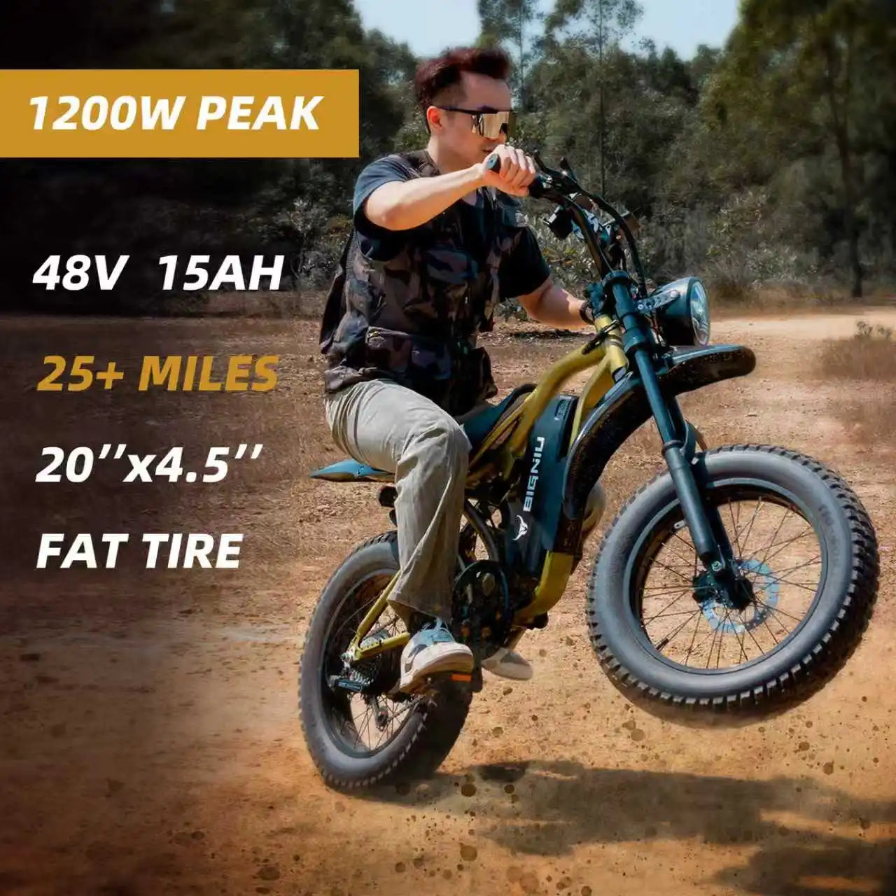 BIGNIU BG-S Electric Bike With Full Suspension And Long Range