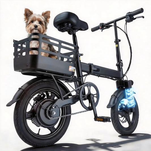 Folding Electric Bike With 500W Peak Motor And 432Wh Battery