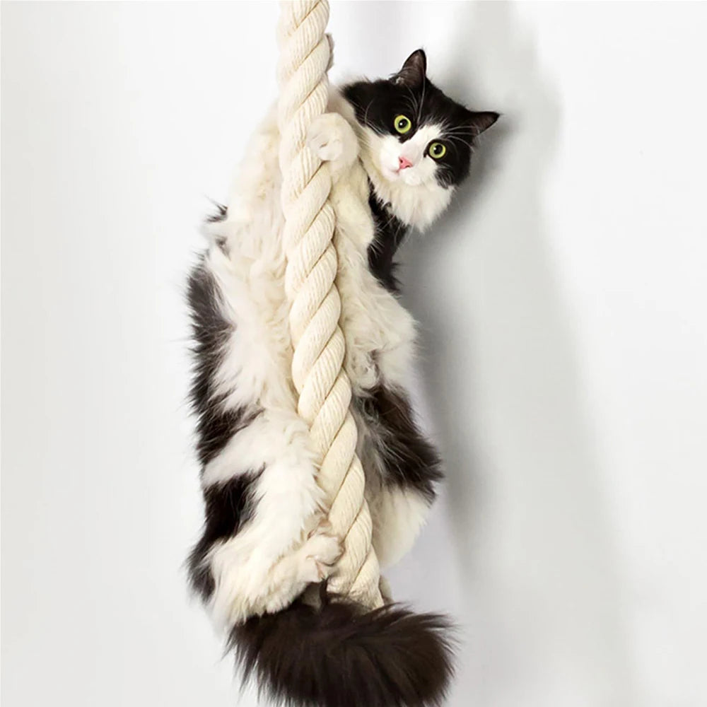PETRAVEL Cat Climbing Shelf And Rope Tree Wall Mounted Scratching Post