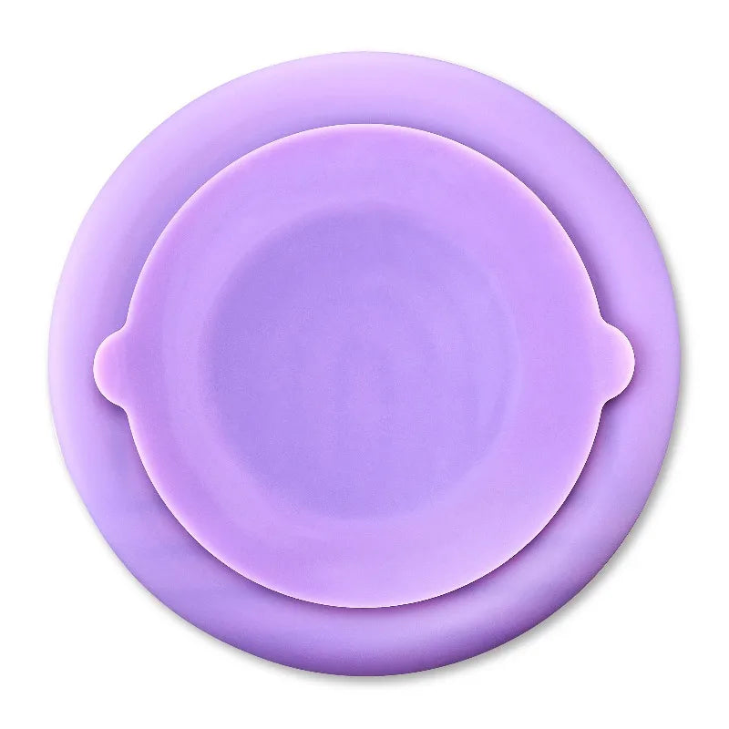Silicone Slow Feeder Bowl for Pets Promotes Healthy Eating Habits