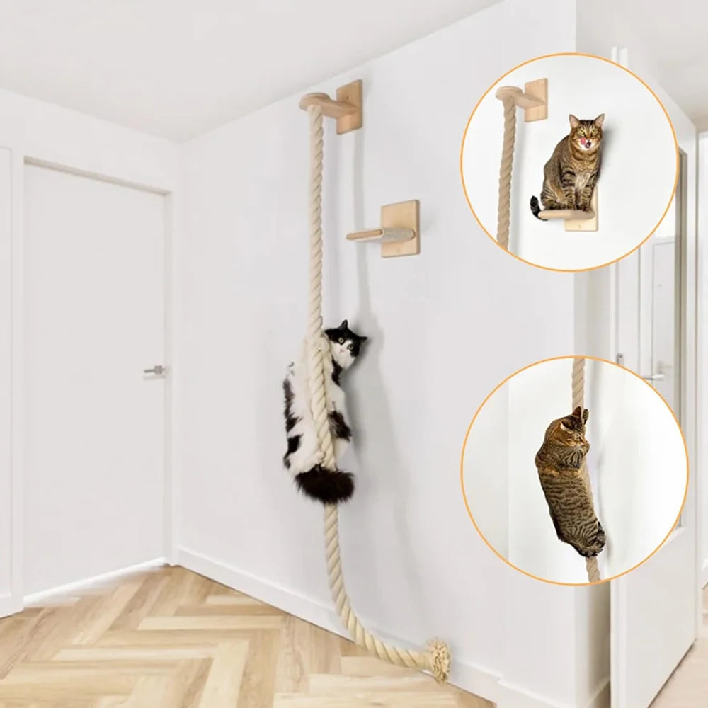 PETRAVEL Cat Climbing Shelf And Rope Tree Wall Mounted Scratching Post