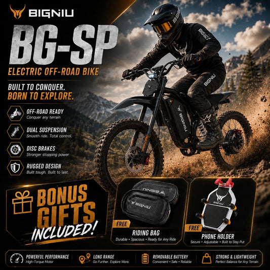 BIGNIU BG-S Pro 3000W Fat Tire Electric Bike with Suspension