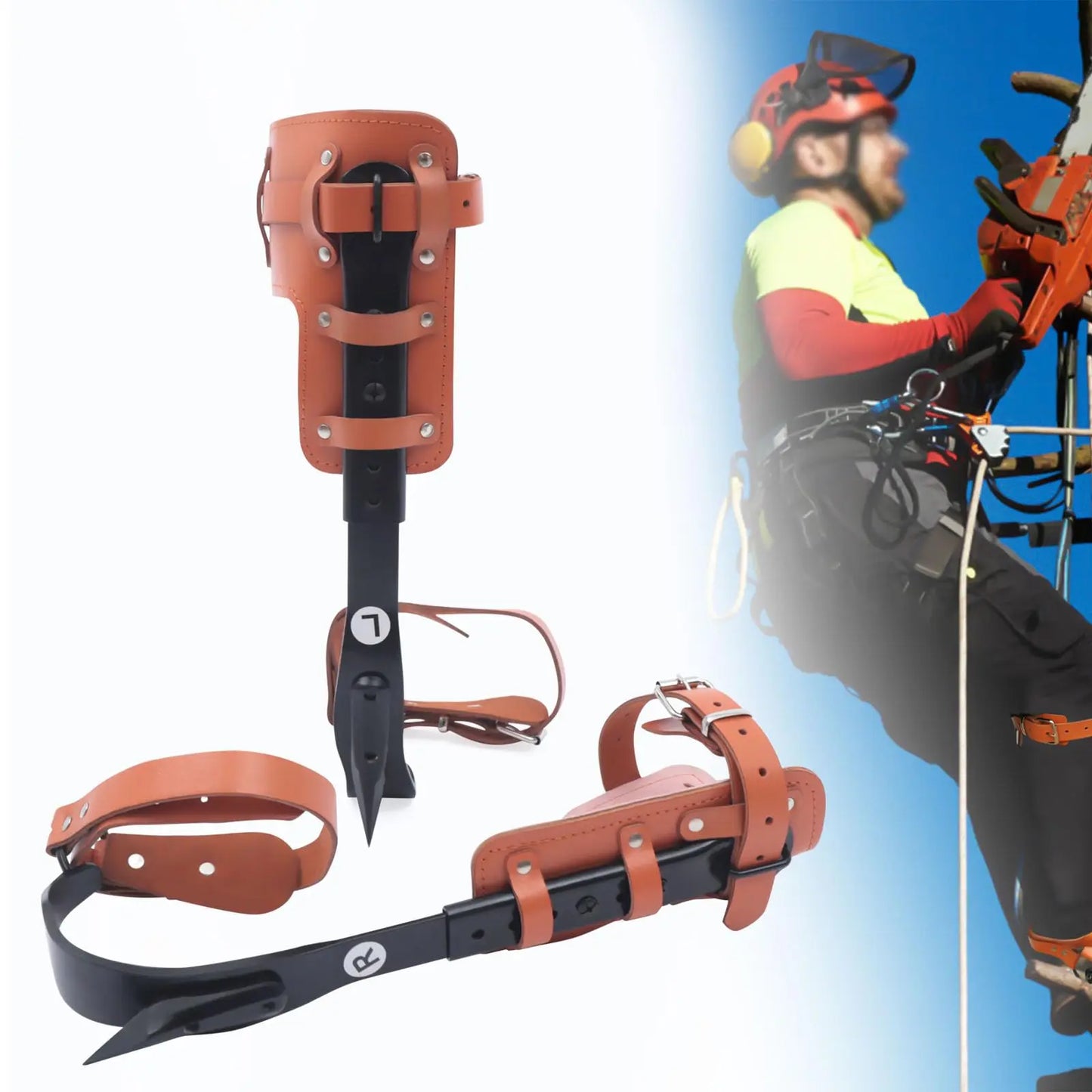 Tree Climbing Spike Set， Pole Climbing Spurs Steel， Adjustable Climber Gaffs Spikes Set Height Adjustable ,Tree Climbing Gear Po
