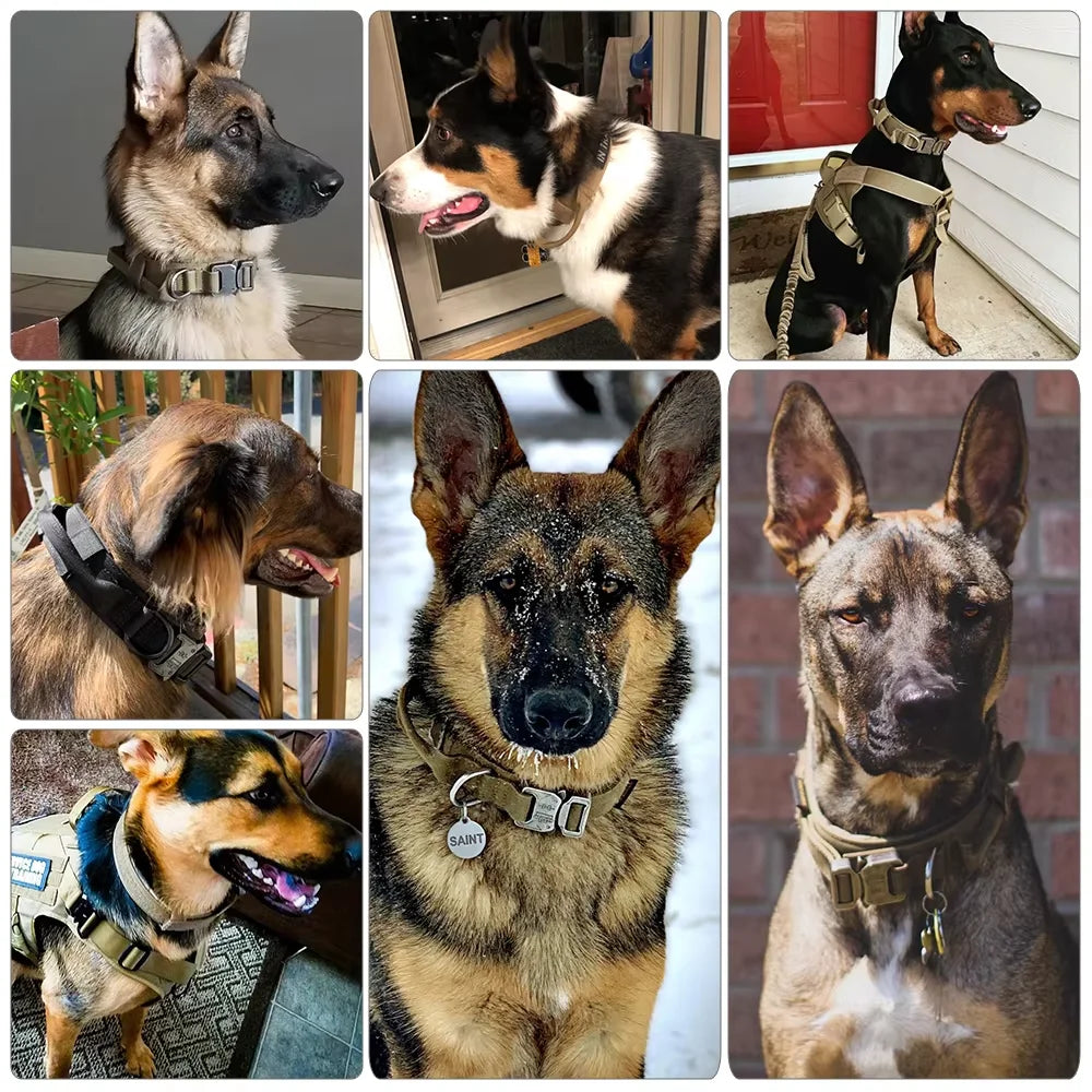 PETRAVEL Tactical Dog Collar And Leash Set With Control Handle