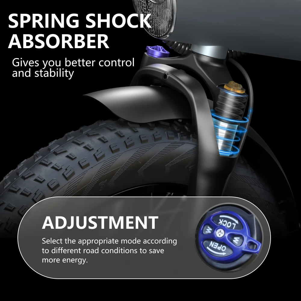 HX Q3 2000W Fat Tire Electric Bike