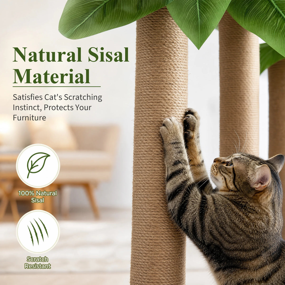 Canna Leaf Cat Scratching Post With Sisal Poles Dangling Toy
