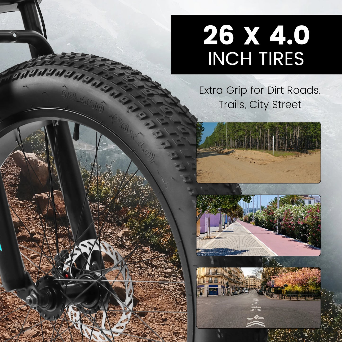 Fat Tire Mountain Bike Full Suspension 21 Speed Disc Brakes