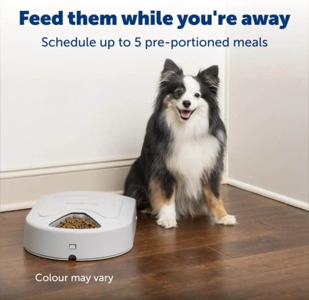 Automatic Dog Feeder, 5 Meals, 40 oz, for Small-Medium Dogs, Dry Food, Timer, Easy Clean