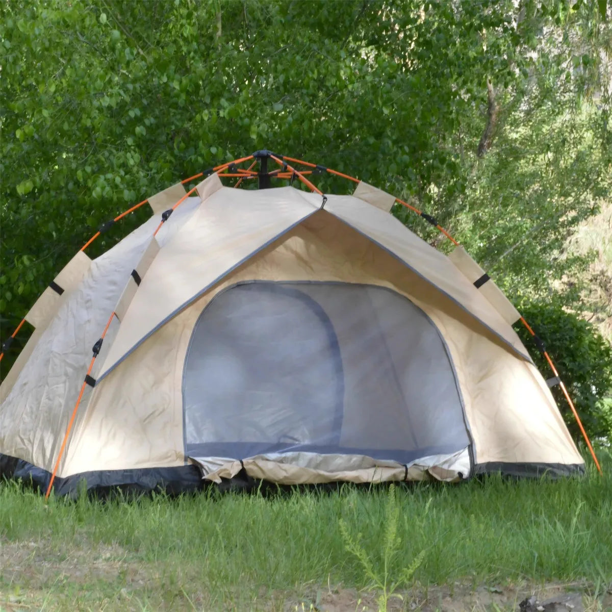 Pakicetus Outdoor Automatic Quick Opening Tent Rainproof and Sunproof