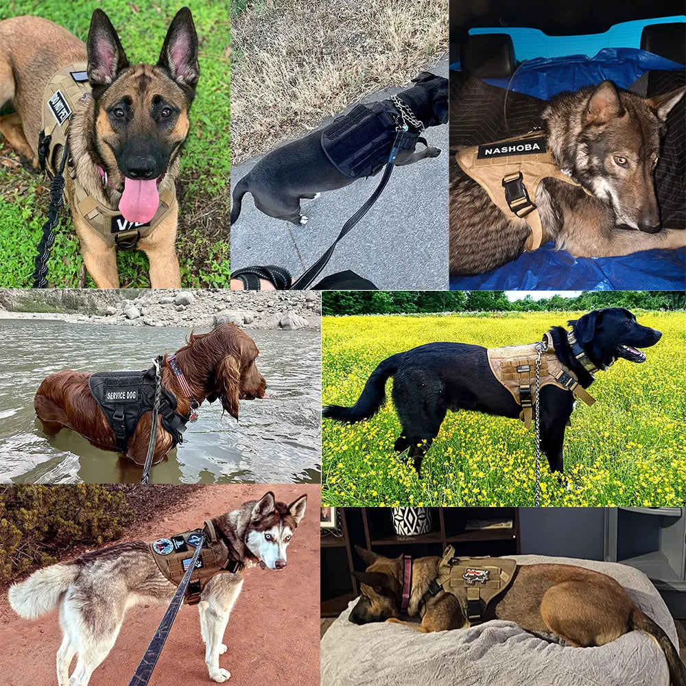 PETRAVELCN Tactical Dog Harness Leash Set for Training