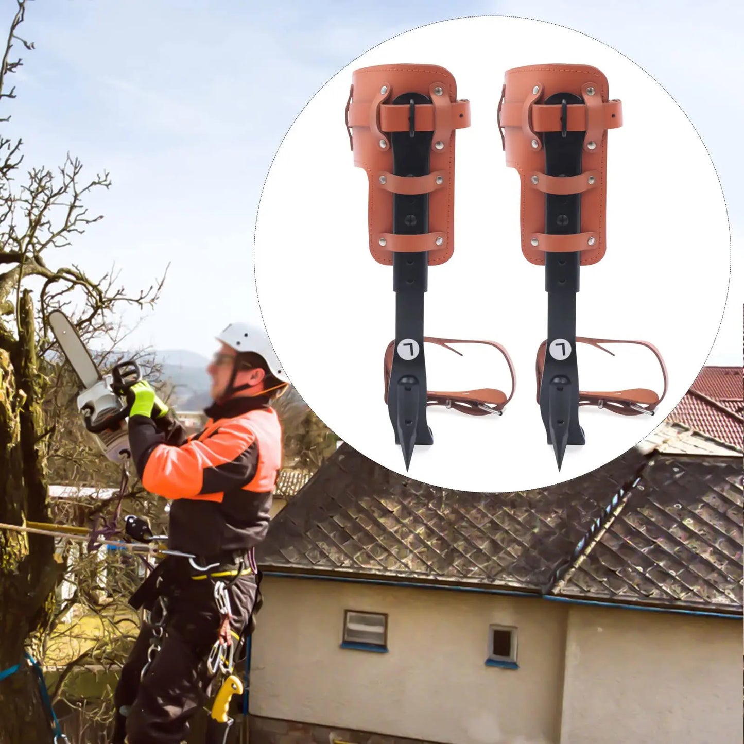 Tree Climbing Spike Set， Pole Climbing Spurs Steel， Adjustable Climber Gaffs Spikes Set Height Adjustable ,Tree Climbing Gear Po