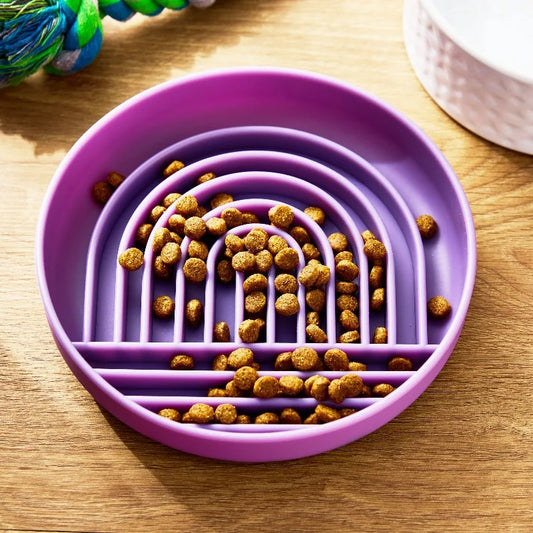 Silicone Slow Feeder Bowl for Pets Promotes Healthy Eating Habits