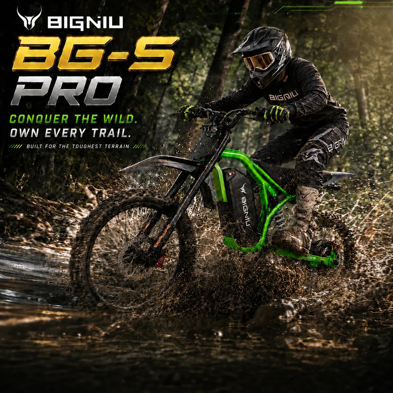 BIGNIU BG-S Pro 3000W Fat Tire Electric Bike with Suspension